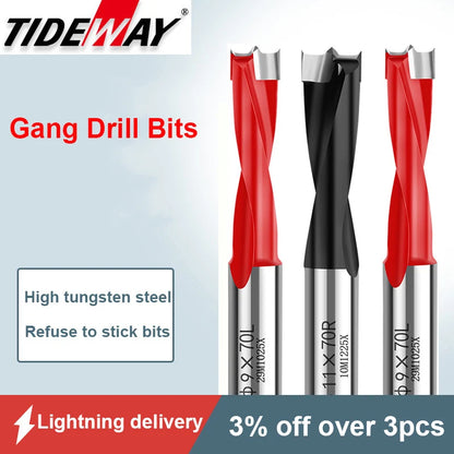 Gang drill bit for wood, 10mm shank, 70mm long